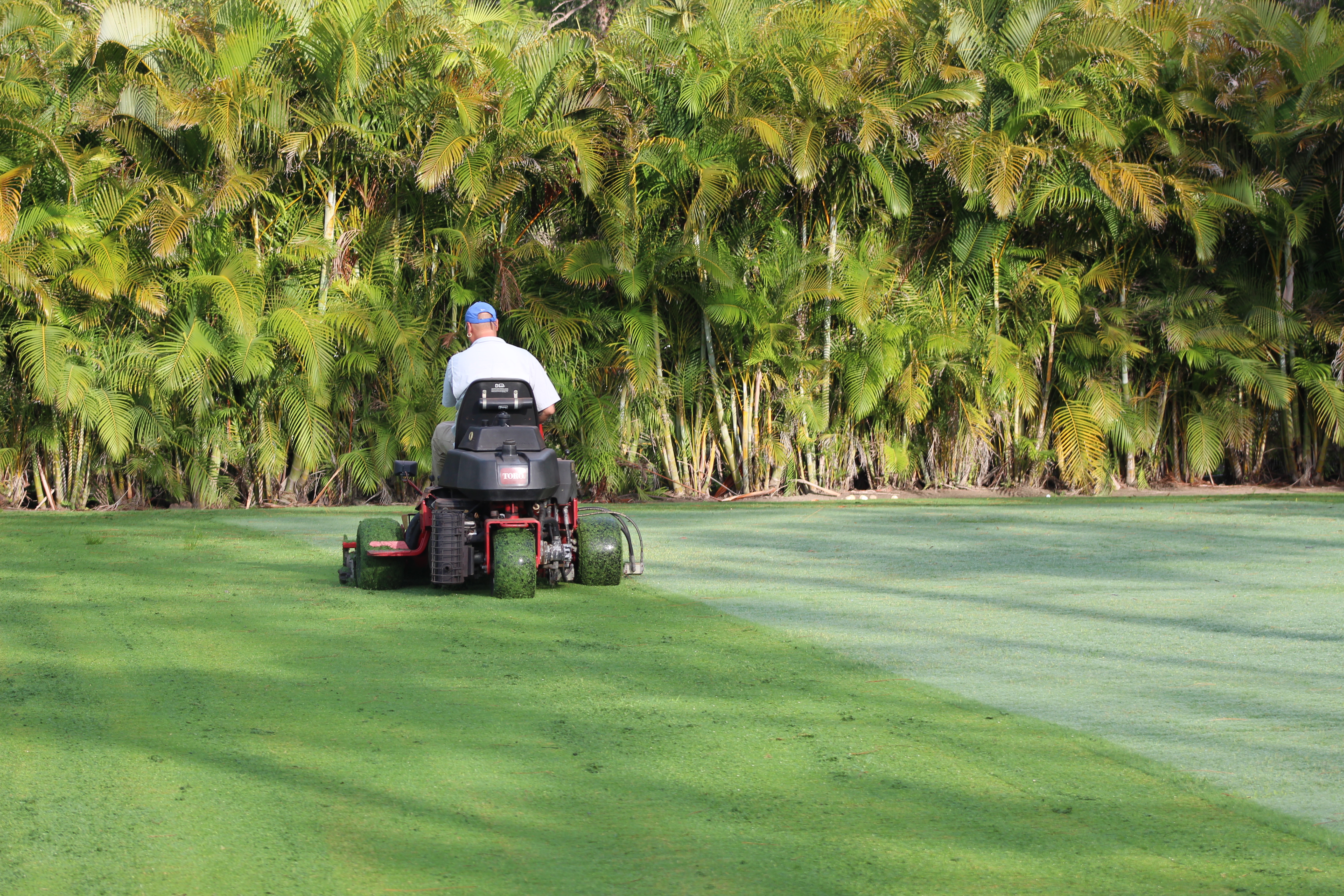 5 Lawn and Landscaping Tips for a Beautiful Home